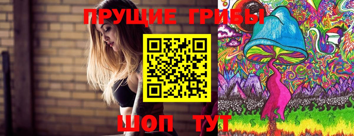 наркошоп  Псилоцибиновые грибы GOLDEN TEACHER  Вход с VPN  Галлюциногенные грибы мухоморы  Сунжа 